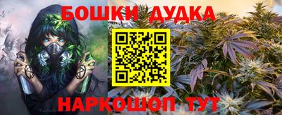 прущие крисы Будённовск