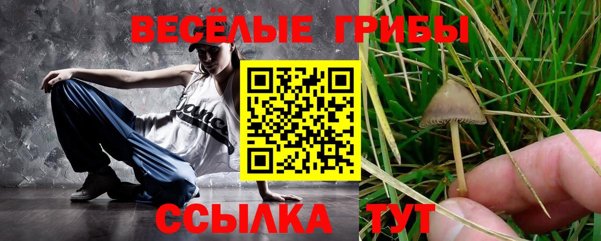 Тутаев  Галлюциногенные грибы мухоморы  Вход с VPN 