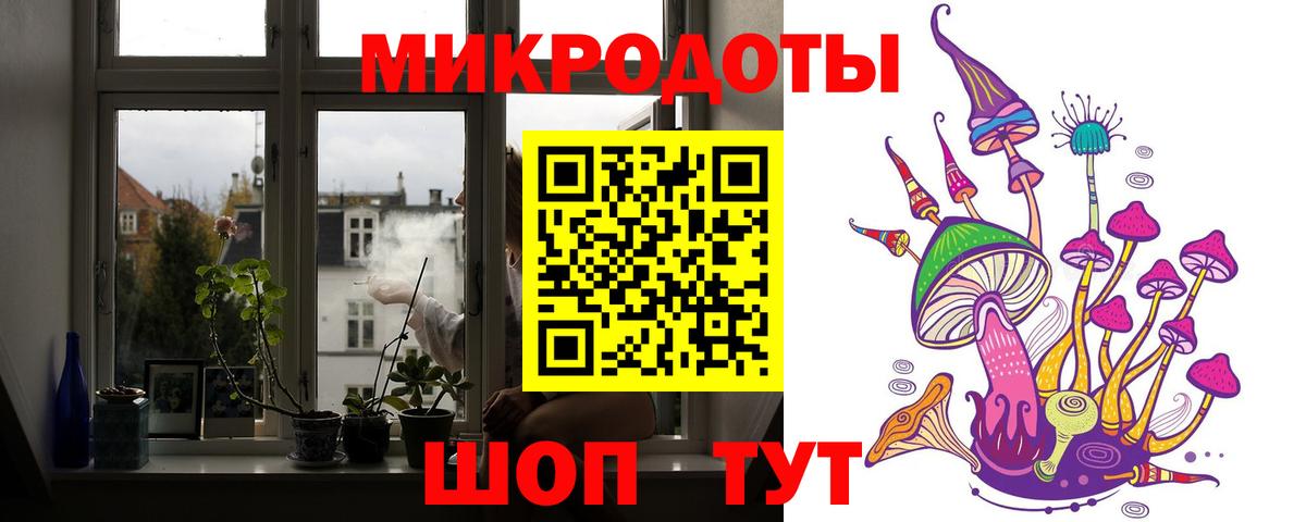 Псилоцибиновые грибы Psilocybine cubensis Тутаев